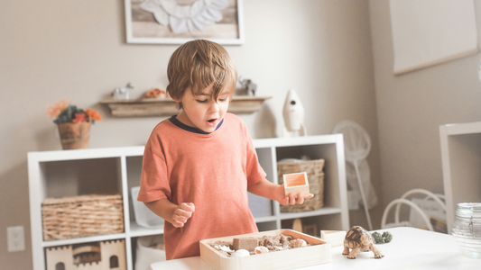Montessory toys